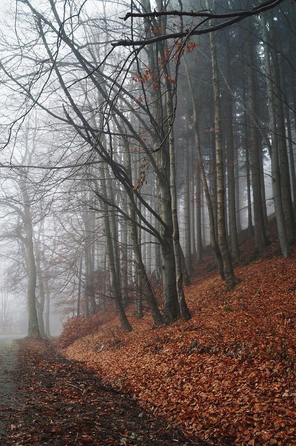 Apartamenty BM'Kruk Stronie Slaskie Bagian luar foto