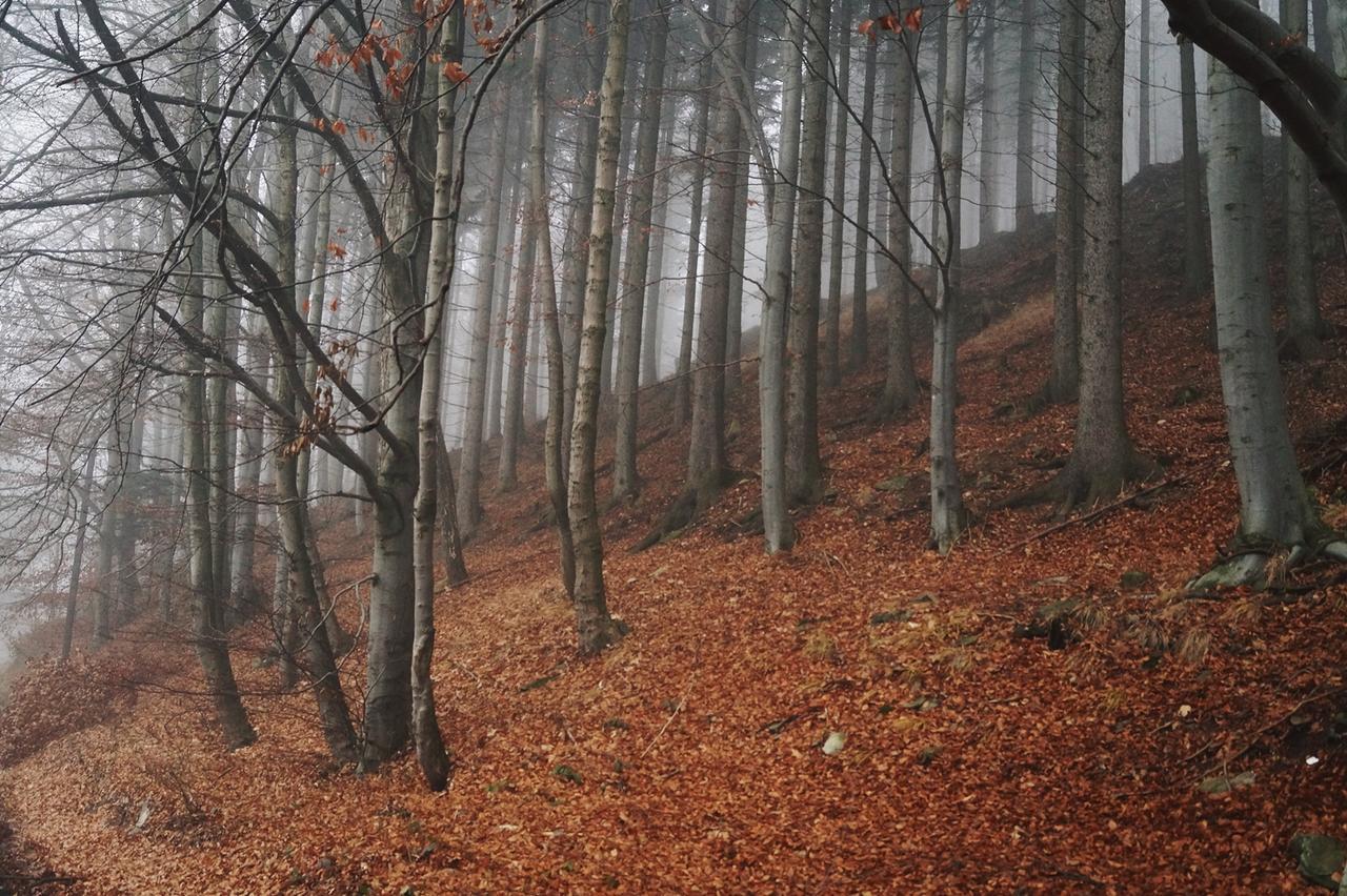 Apartamenty BM'Kruk Stronie Slaskie Bagian luar foto